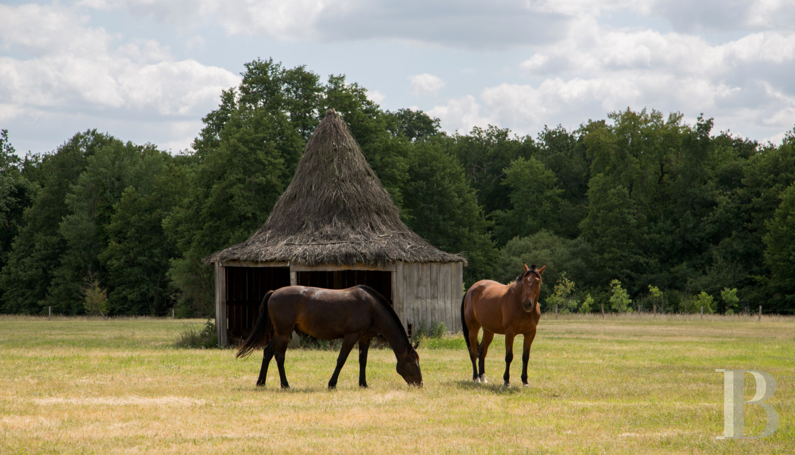 A country house rental for a year with access to the services and facilities of a large estate, an hour’s train ride from Paris in Touraine  - photo  n°32